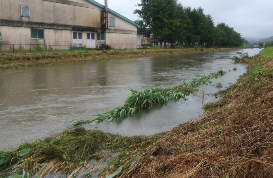 大雨で増水した黒石川＝２３日午後４時５５分ごろ、高岡市福岡町荒屋敷