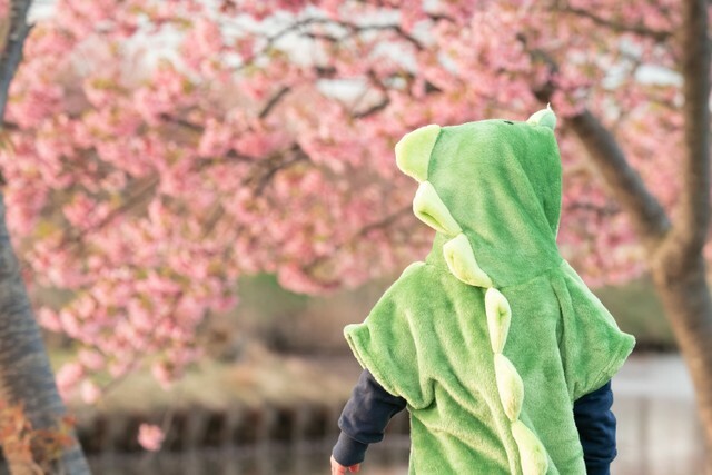 Xで話題の可愛すぎる着ぐるみコーデの子どもとは…　※画像はイメージです（晃司 村田/stock.adobe.com）