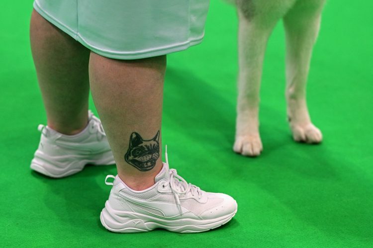 足首に犬のタトゥーを入れて見せる愛犬家。2024年英国で開催されたドッグショーでの一コマ（イメージ、AFP＝時事）