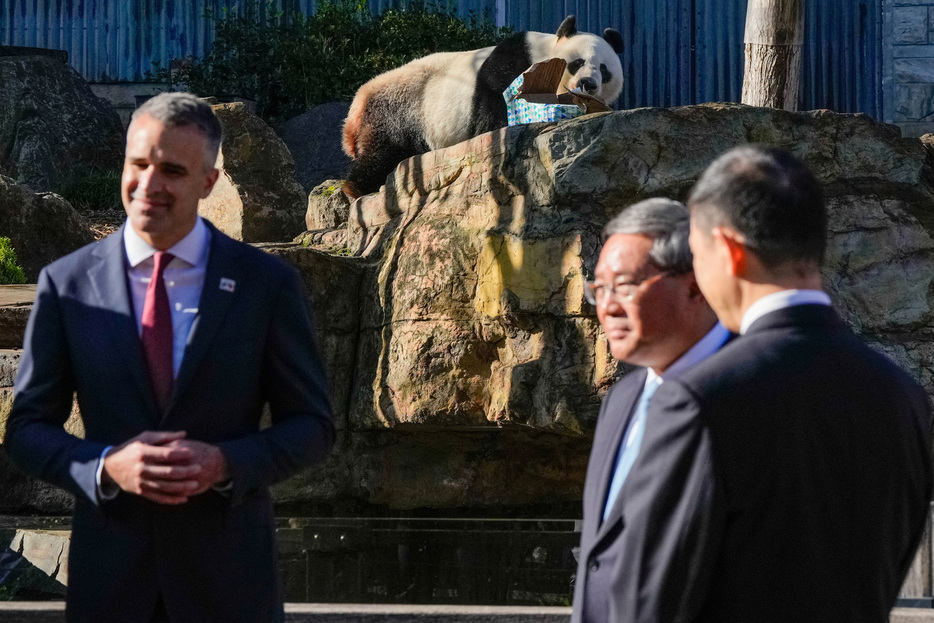 オーストラリアを訪問している中国の李強首相は１７日、アルバニージー豪首相と会談する。１６日には南オーストラリア州のワイナリーとアデレード動物園を訪れた。写真はアデレードの動物園で１６日、動物園スタッフから話を聞く李首相と南オーストラリア州首相。代表撮影（２０２４年　ロイター）