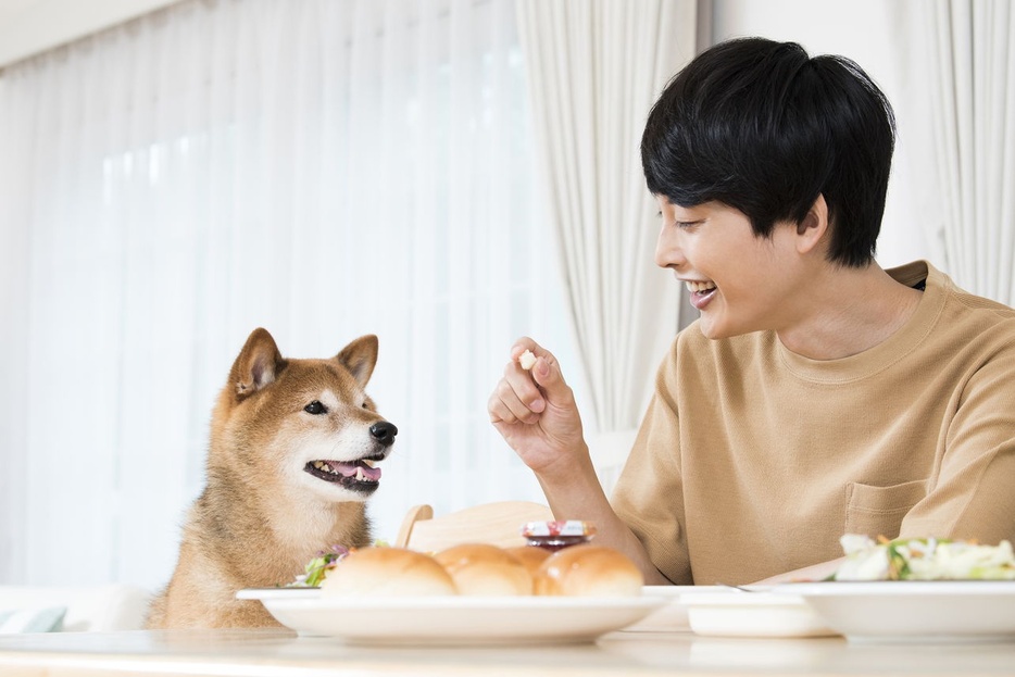 ワンコと一緒に食事を楽しむ幸せ