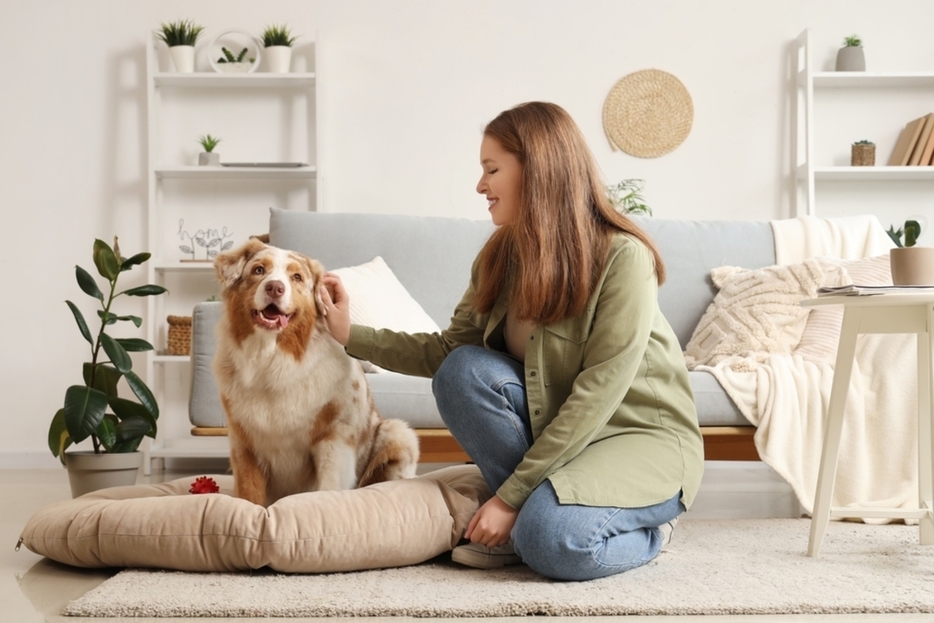 軽度の動物アレルギーですが「ペット」を飼いたいです。アレルギー症状を防止するための薬を買った場合、費用はどれくらいでしょうか。