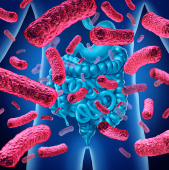腸内細菌は体質を決める要素のひとつ photo by iStock (wildpixel)