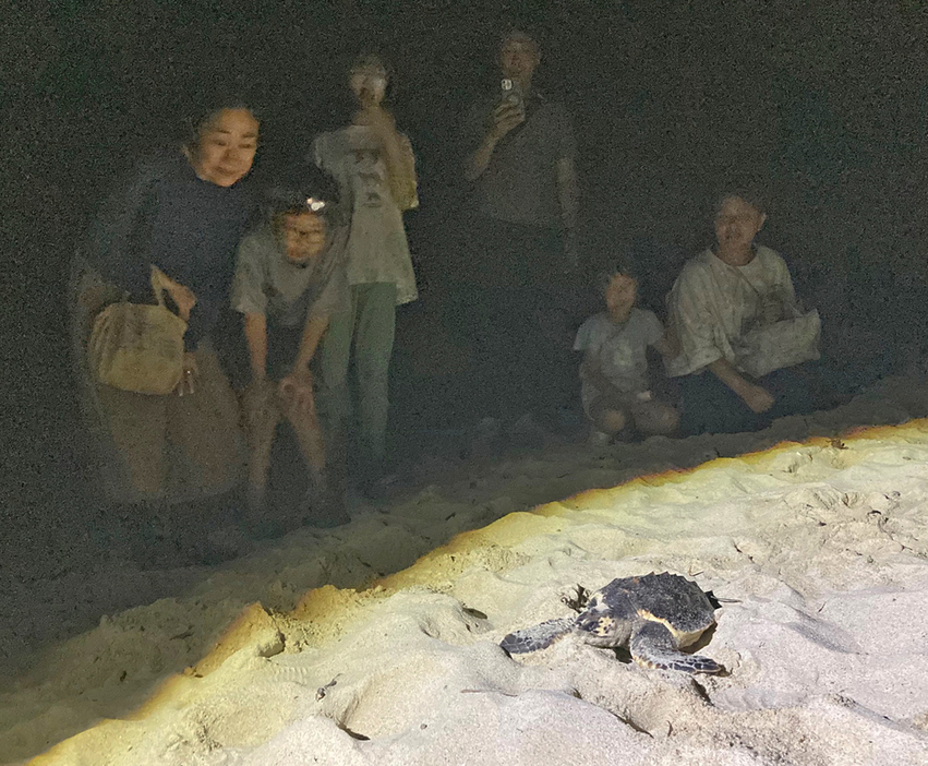 実験を通して強い光に向かっていくウミガメの習性も学んだウミガメミーティング＝9日、鹿児島県奄美市名瀬の大浜海岸