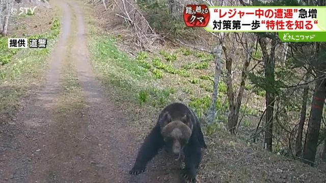 車に襲いかかるクマも「威嚇突進」