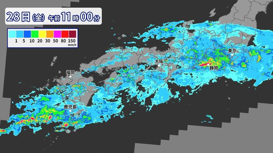 28日（金）午前11時の雨の様子