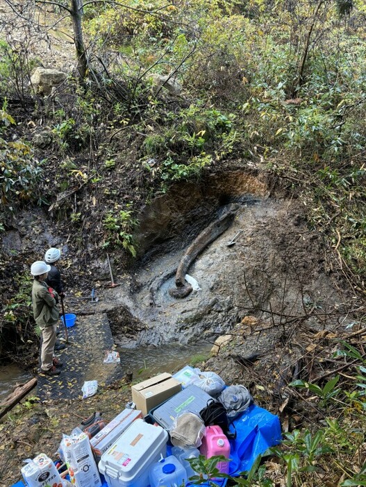 発掘現場の様子。CF達成で発掘範囲を広げる方向だ＝信州大の山田桂教授提供