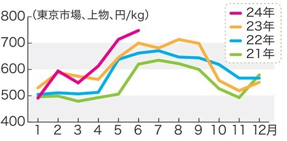 国産豚枝肉の相場推移