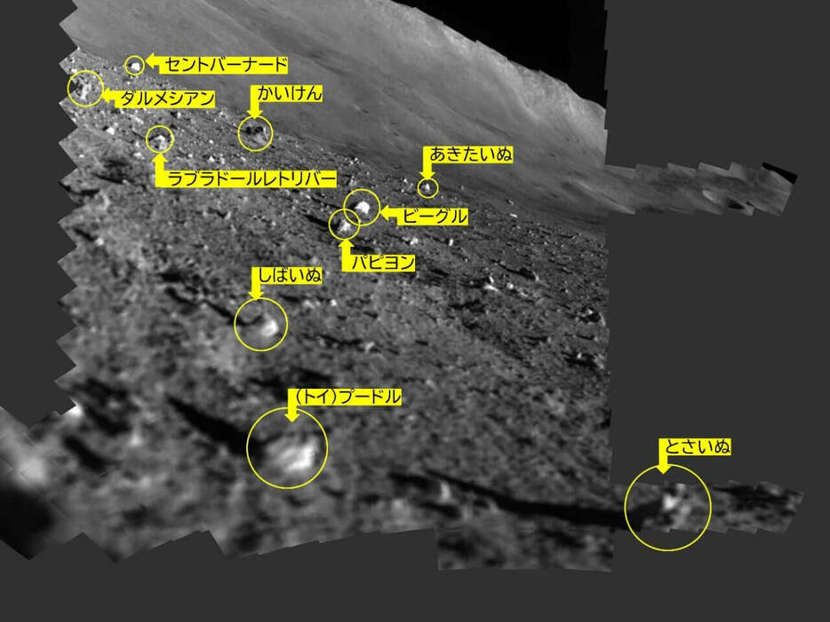 参考画像：SLIMのマルチバンド分光カメラ（MBC）で電力回復後に取得された月面スキャン画像（モザイク合成）。観測候補の岩石に付けられた愛称が示されている。2024年2月1日公開