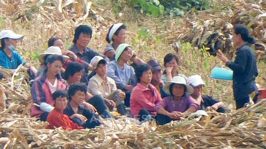 トウモロコシ畑の中で会議する女性たち。収穫作業に動員された「女性同盟員」のようだ。2023年9月末に中国側から撮影した平安北道の朔州郡の様子。アジアプレス