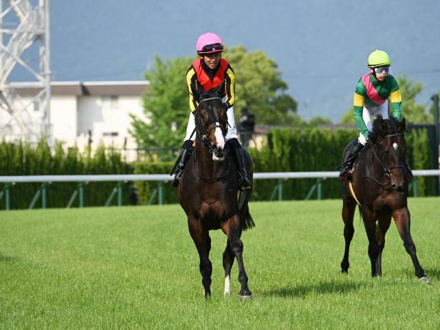 連勝でここへ臨むミナデオロは7枠10番/(c)netkeiba