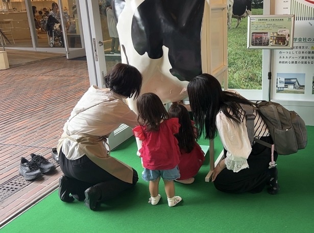乳しぼり擬似体験や牛のエサ、牧草に触れられるイベントが東京・外苑前で開催中