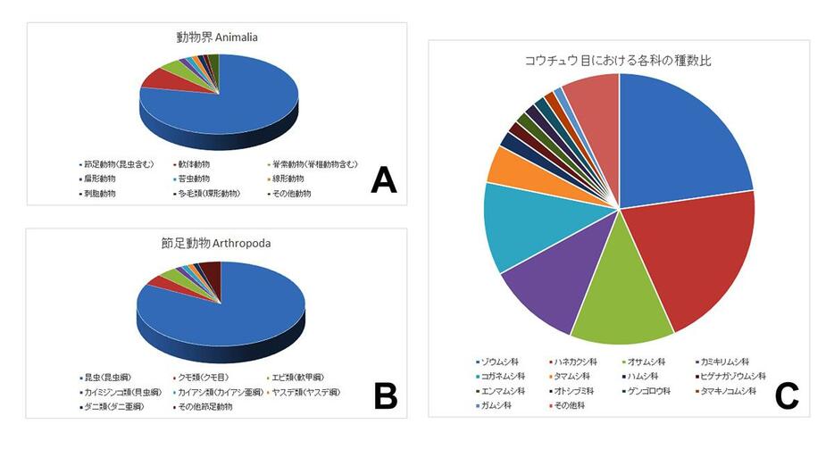 図4：ウェブサイト”Catalogue of Life”のデータに基づく各動物群、昆虫群の種数比の円グラフ。