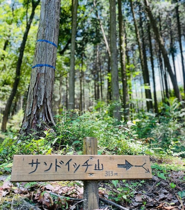 写真：PEAKS