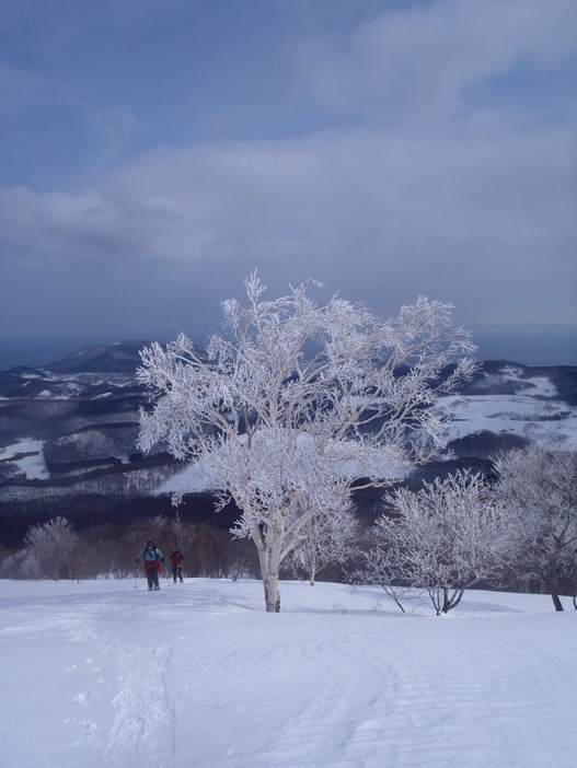 写真：PEAKS