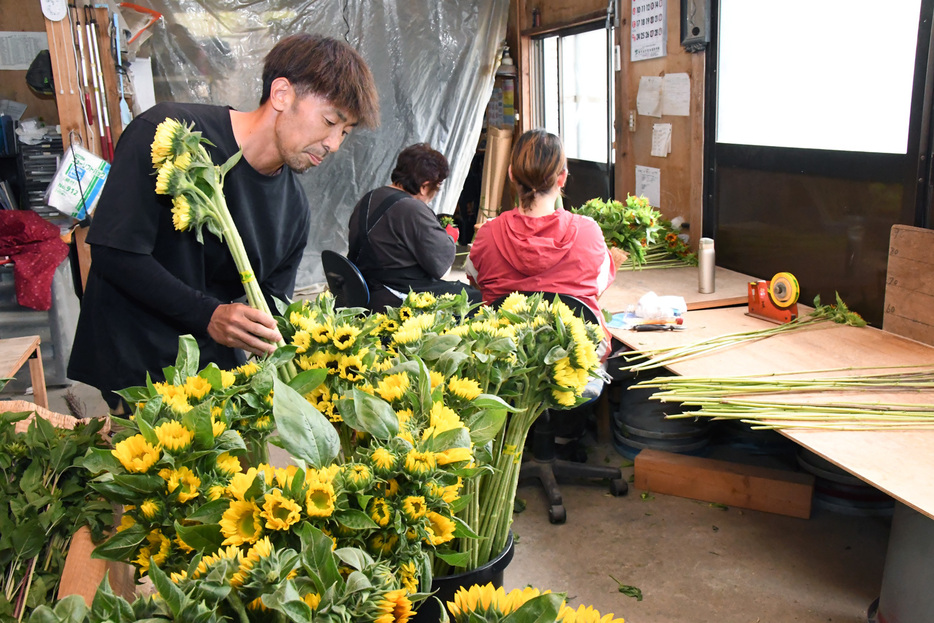 作業に精を出す山﨑さんら＝館山