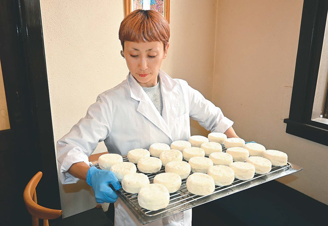 製造したチーズの状態を確かめる古株さん（滋賀県東近江市で）