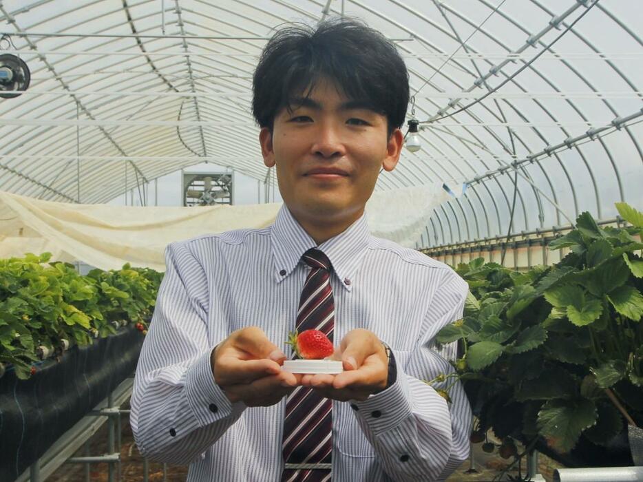 商品を手にする池田さん。「夏イチゴで福井の夏を盛り上げる」と意気込む