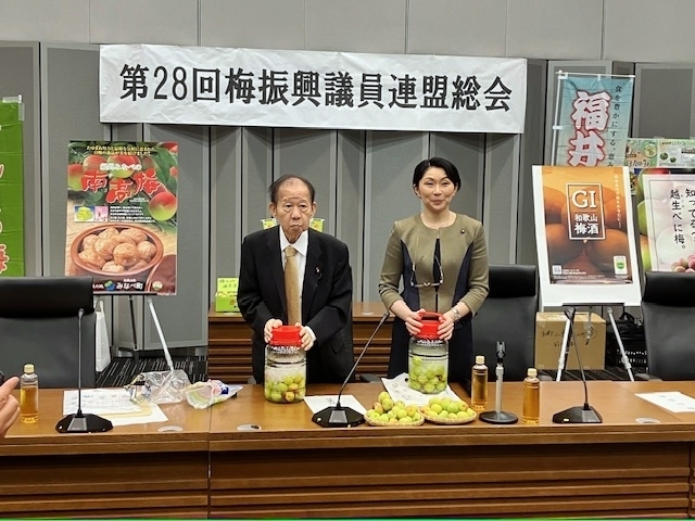 梅を漬ける二階俊博議員（左）と小渕優子自民党選挙対策委員長（右）