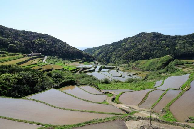 美しい棚田の光景（ORURIさん）