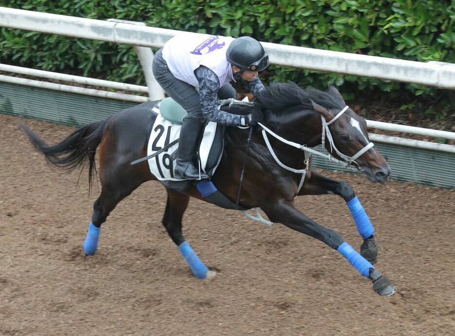 過去の好走馬と共通点の多いメイショウソラフネ