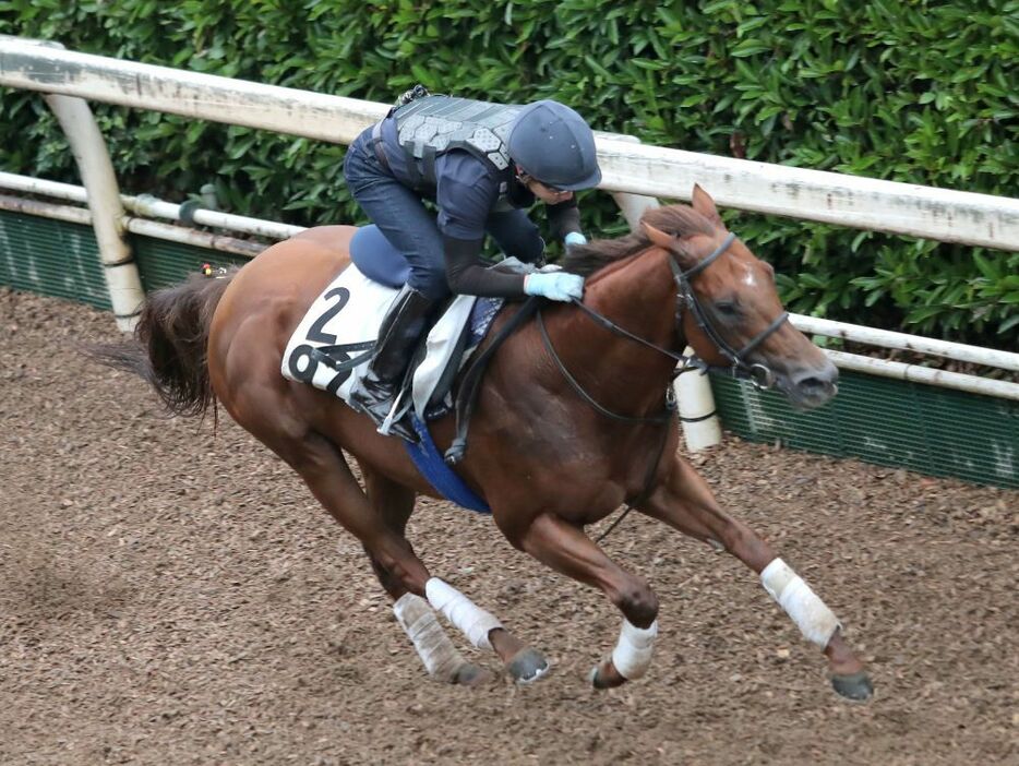 コース適性抜群のエイシンスポッター