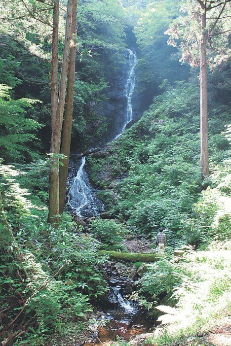 草刈りや雑木の除去で眺望が良くなった笠取の滝