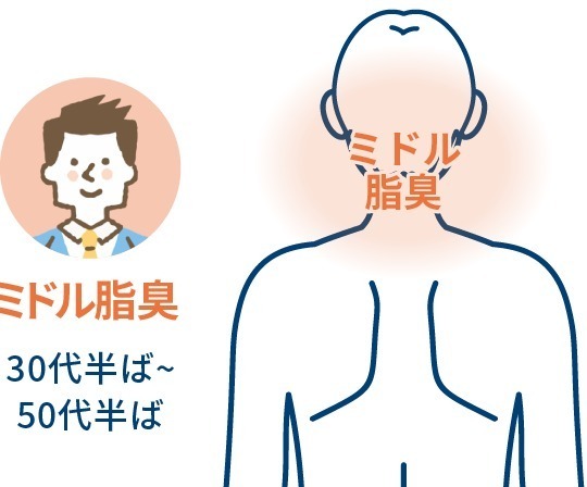 ミドル脂臭の発生源（提供元：汗とにおい総研）