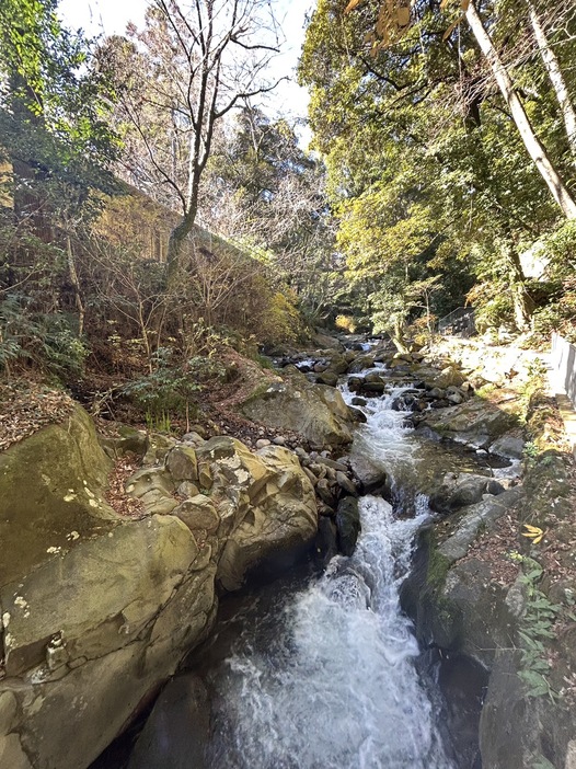 ミホ撮影。惣湯テラスへと続く渓流沿い。小川のせせらぎが心地いい♡