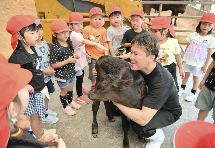 池田牧場の子牛と触れ合う児童