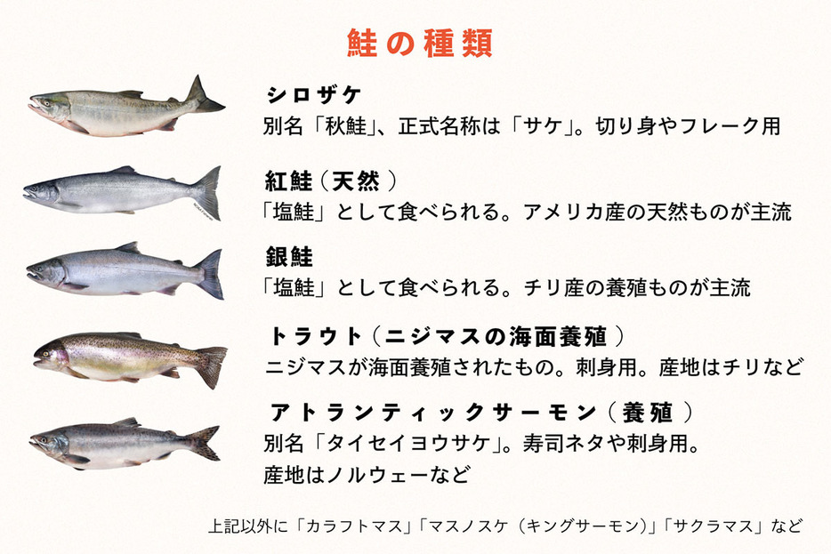 日本で食べられている鮭の主な種類。銀鮭や紅鮭は輸入が多く、シロザケが国内で漁獲・出荷されている品種で一番安い。シロザケの標準和名は「サケ」だが、紅鮭や銀鮭との混同を避けるため、シロザケという通称が使われている