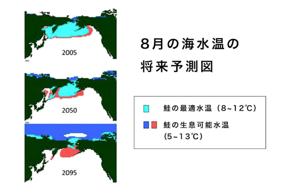 出典：Kaeriyama et al. 2012