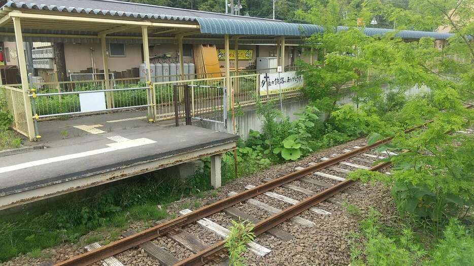 夏草茂る旧夕張駅