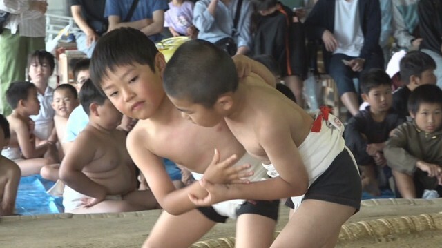 「わんぱく相撲 香川県大会」　小豆島町