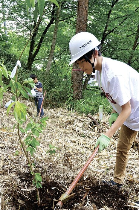 ハナモモを植える参加者