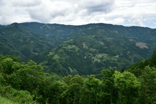 針葉樹と広葉樹のモザイク林相が特徴的な諸塚村の山林。再造林推進条例では適地への再造林を掲げている＝２５日午後