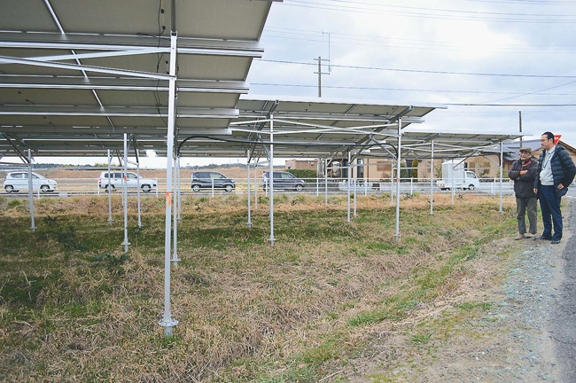 営農型太陽光発電のパネルを見る今野さん（左）ら（福島県南相馬市で）