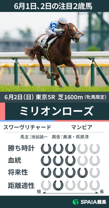 6月2日の注目2歳馬ミリオンローズ