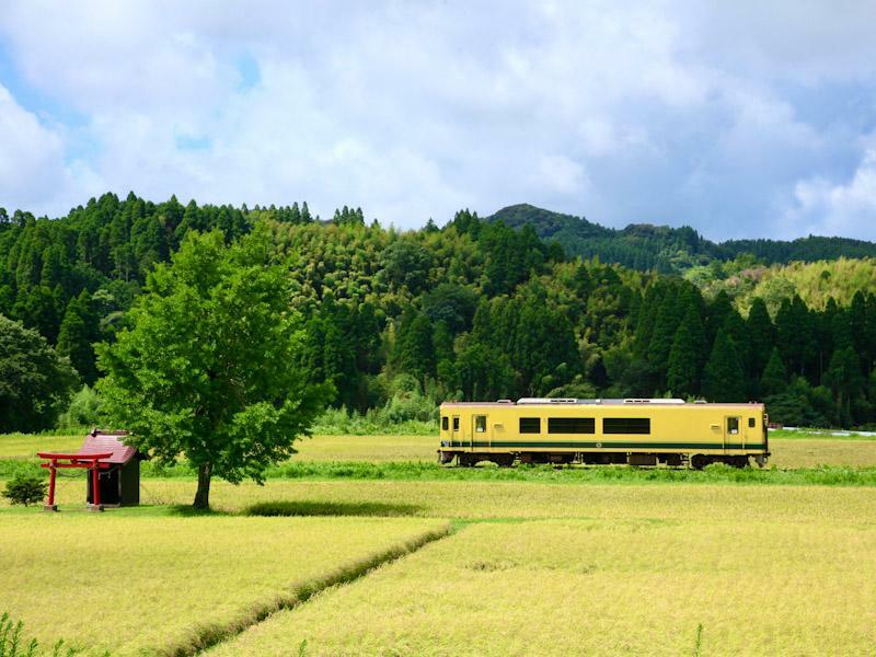 いすみ鉄道の車窓から田園風景が楽しめる（写真提供＝いすみ鉄道）