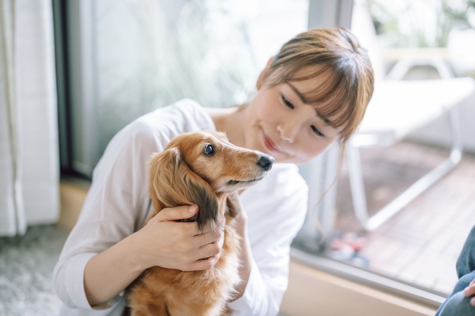 ワンちゃんの豊かな表情に癒されます