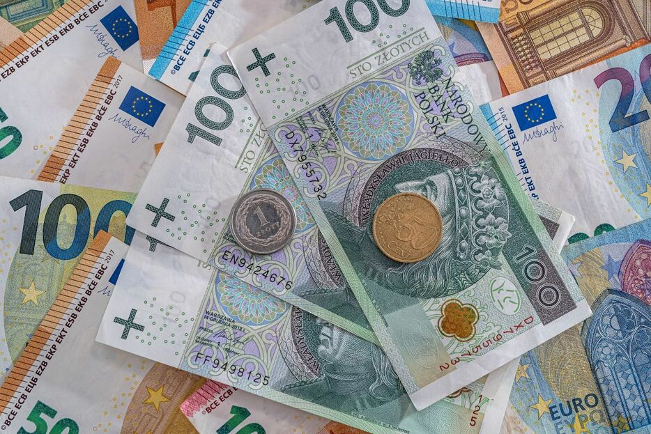 ポーランドの通貨ズロチと欧州単一通貨ユーロ（Getty Images）