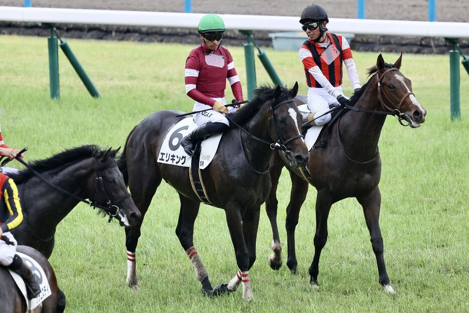 京都5R・エリキングと川田将雅騎手 (C)BANANA