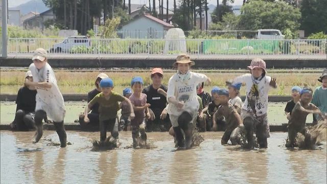 中京テレビNEWS