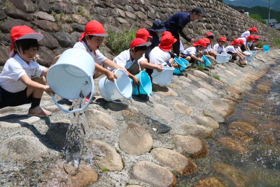 後山川にアマゴの稚魚を放流する大原小の児童たち