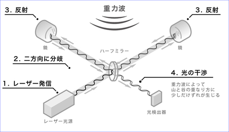 レーザーの２方向への分岐と検出の模式図(図版作成：酒井春)