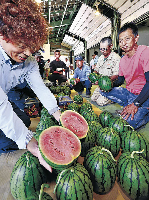 出荷が始まった金沢こだま西瓜＝５日午前１１時２０分、金沢市粟崎町４丁目の貯蔵施設