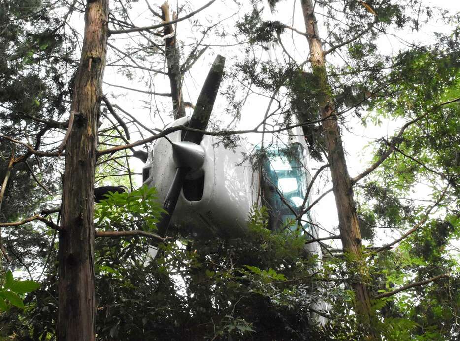 霧島市の山の中で木に引っかかった状態の小型機＝１０日、同市隼人町西光寺