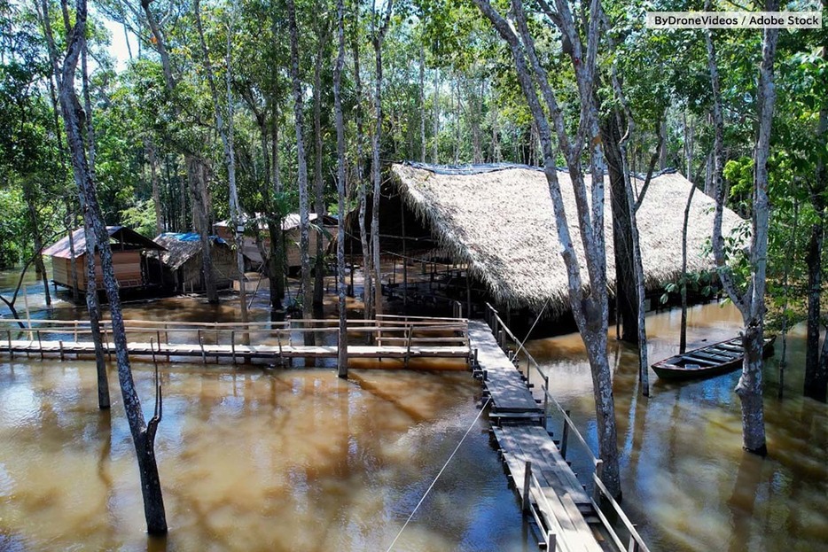 アマゾン川の熱帯雨林で生活する先住民の人々