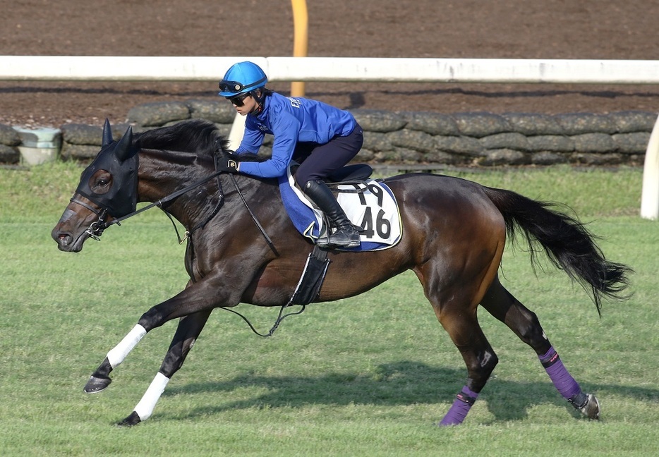 休養を挟みつつも未勝利から2勝クラスまで3連勝中のホールネス