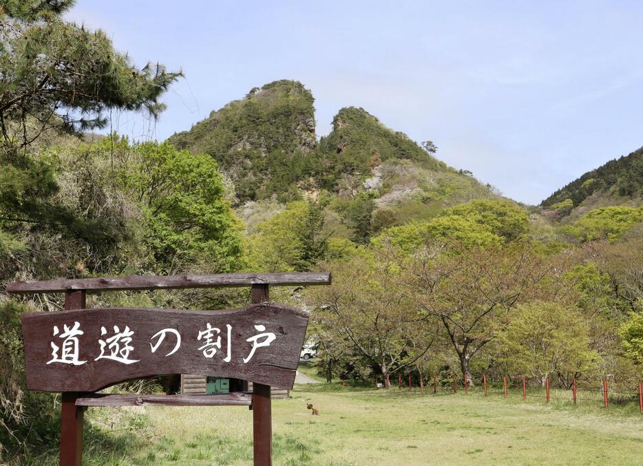 佐渡金山を構成する「相川鶴子金銀山」のシンボル「道遊の割戸」＝4月、新潟県佐渡市